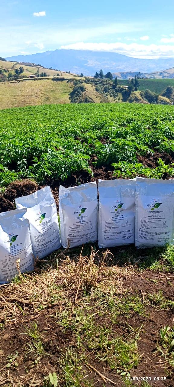 WhatsApp Image 2023-10-06 at 8.36.30 AM (1).jpeg