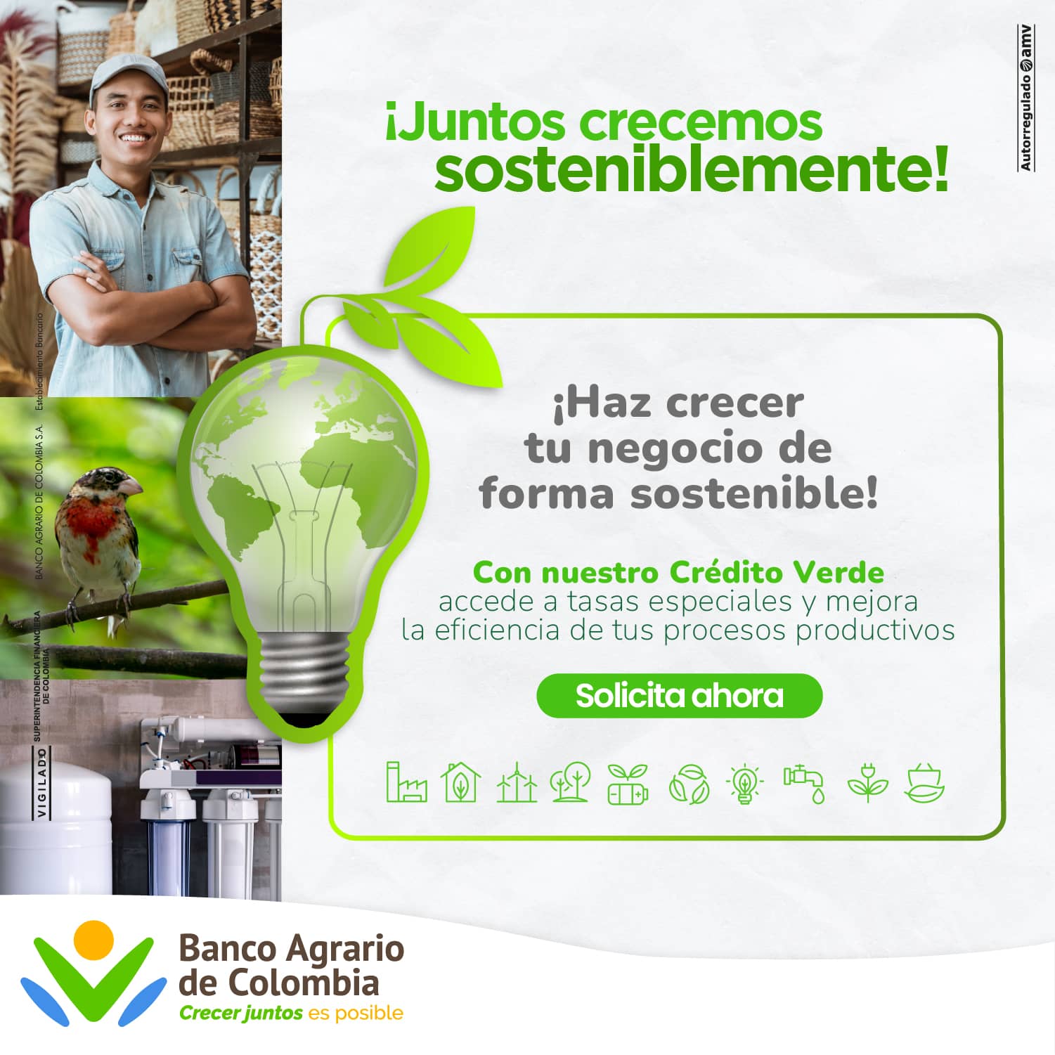 Crédito Verde | Financiamiento Sostenible para Proyectos Ambientales