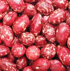 Frijol Cargamanto Seco x Kg