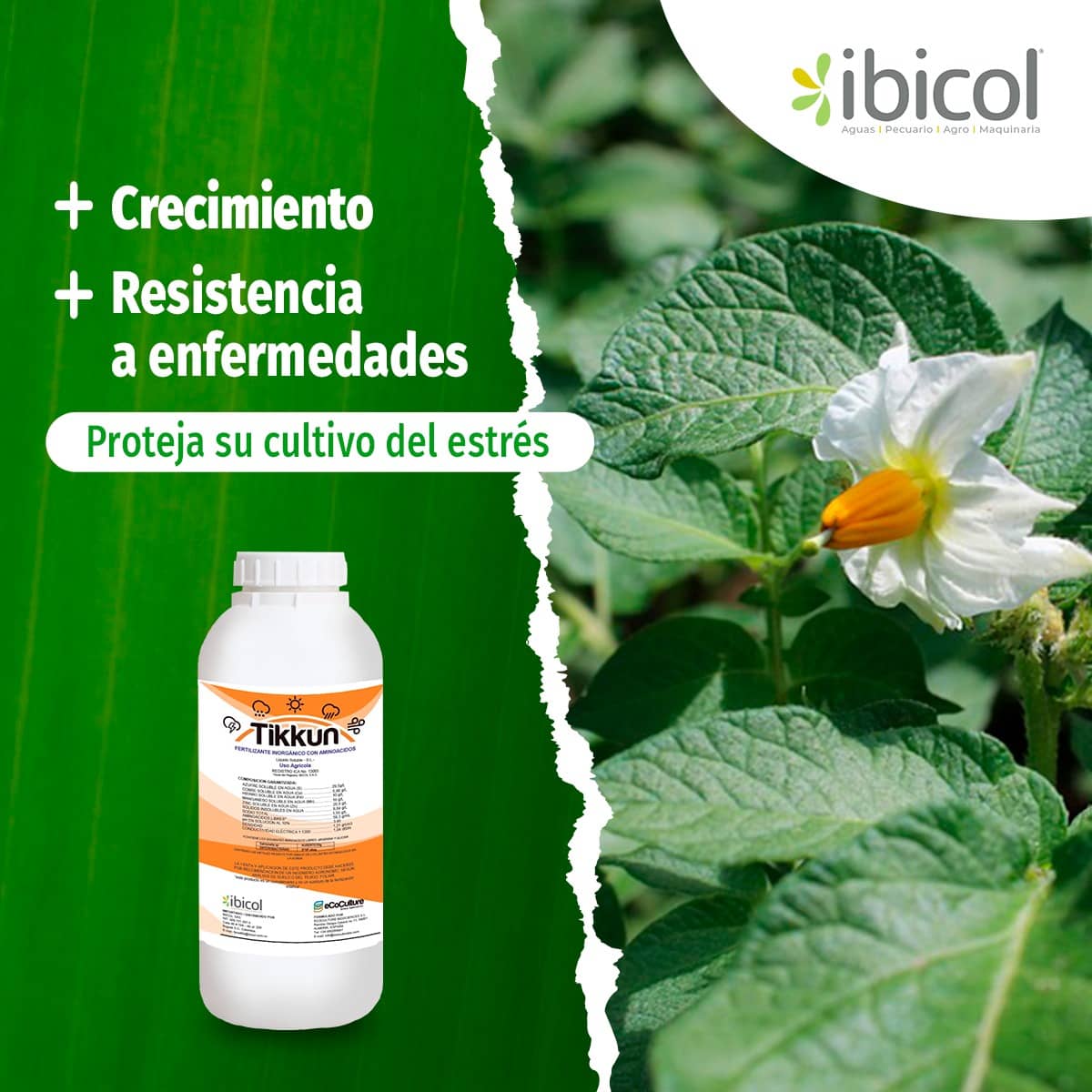 Fertilizante para manejo de estrés en plantas Tikkun x 1 lt