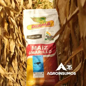 Semilla de Maíz Amarillo DK 7088 VT3Pro – Alta Resistencia
