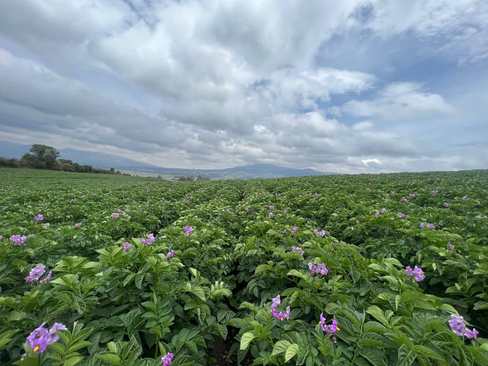 WhatsApp Image 2023-10-06 at 8.36.31 AM (1).jpeg