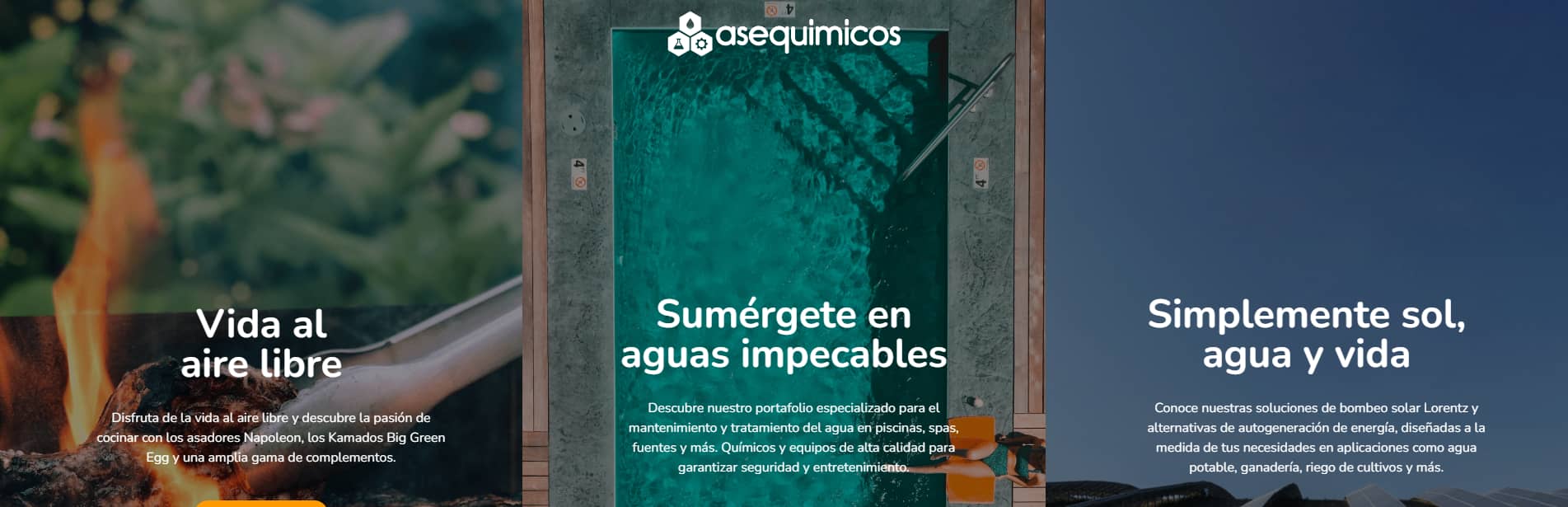 Captura de pantalla 2024-10-11 075211.png