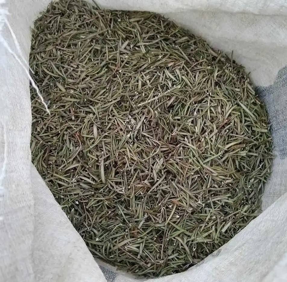 Venta de Romero Saúl Ríos X 1 Kg