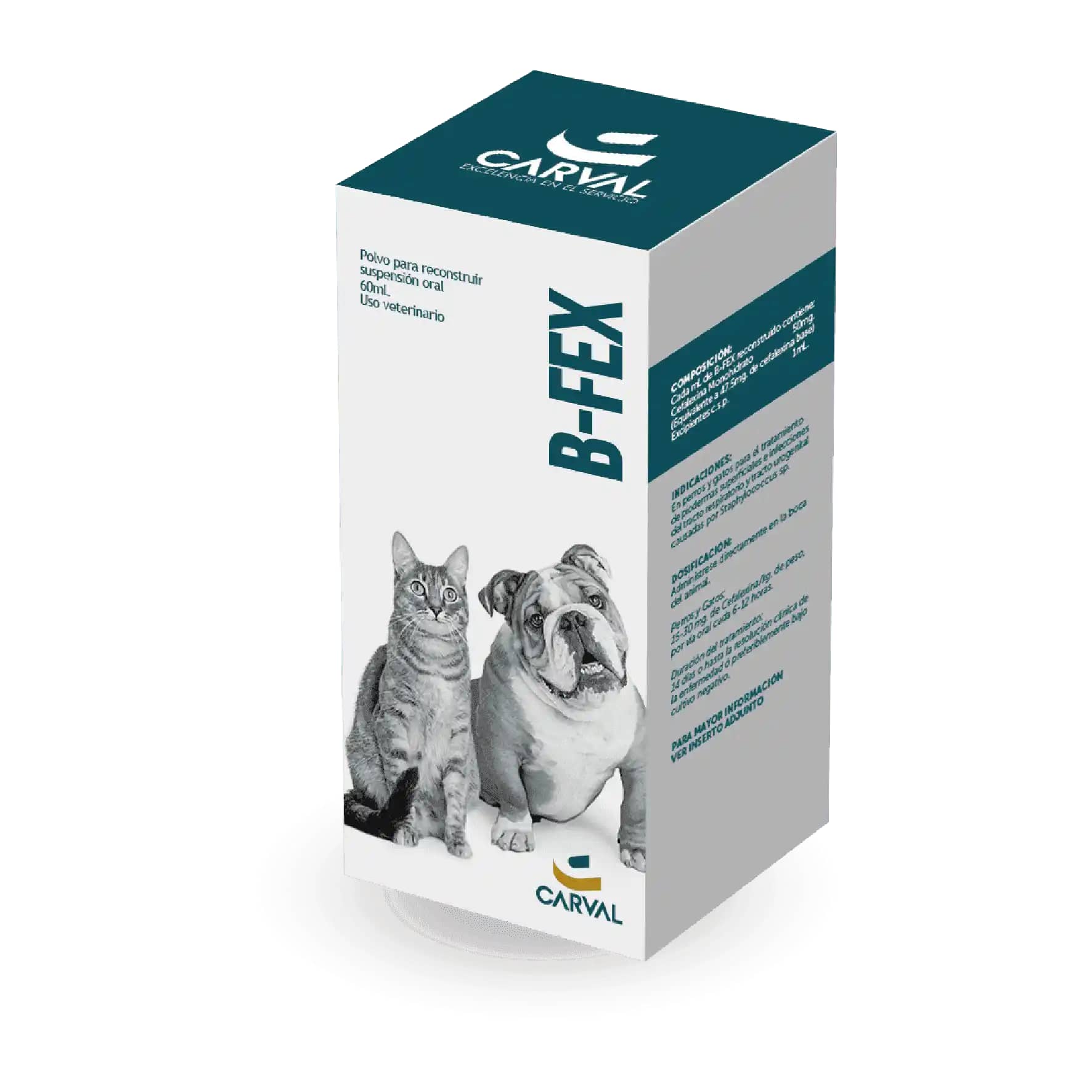 Antibiótico B-Fex suspensión oral x 60 Ml