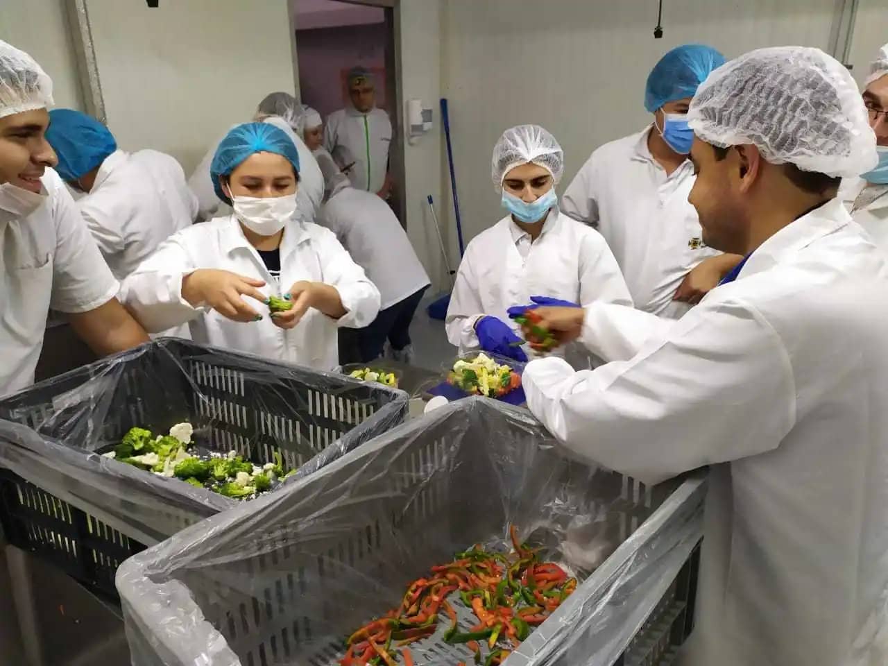 Servicio de Laboratorio de Alimentos