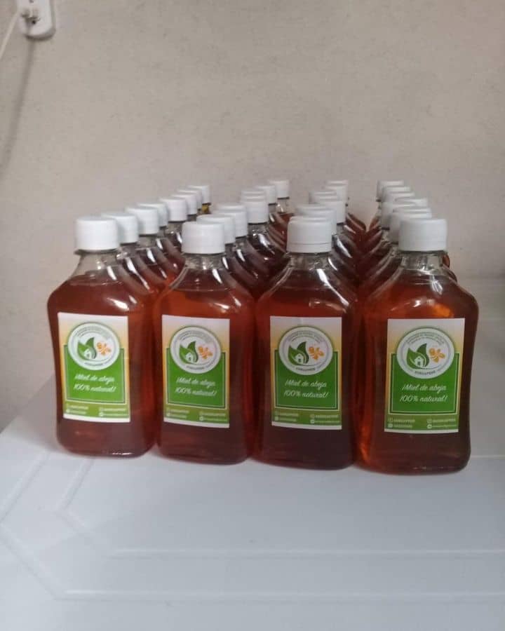 Miel de abejas x 500 Ml