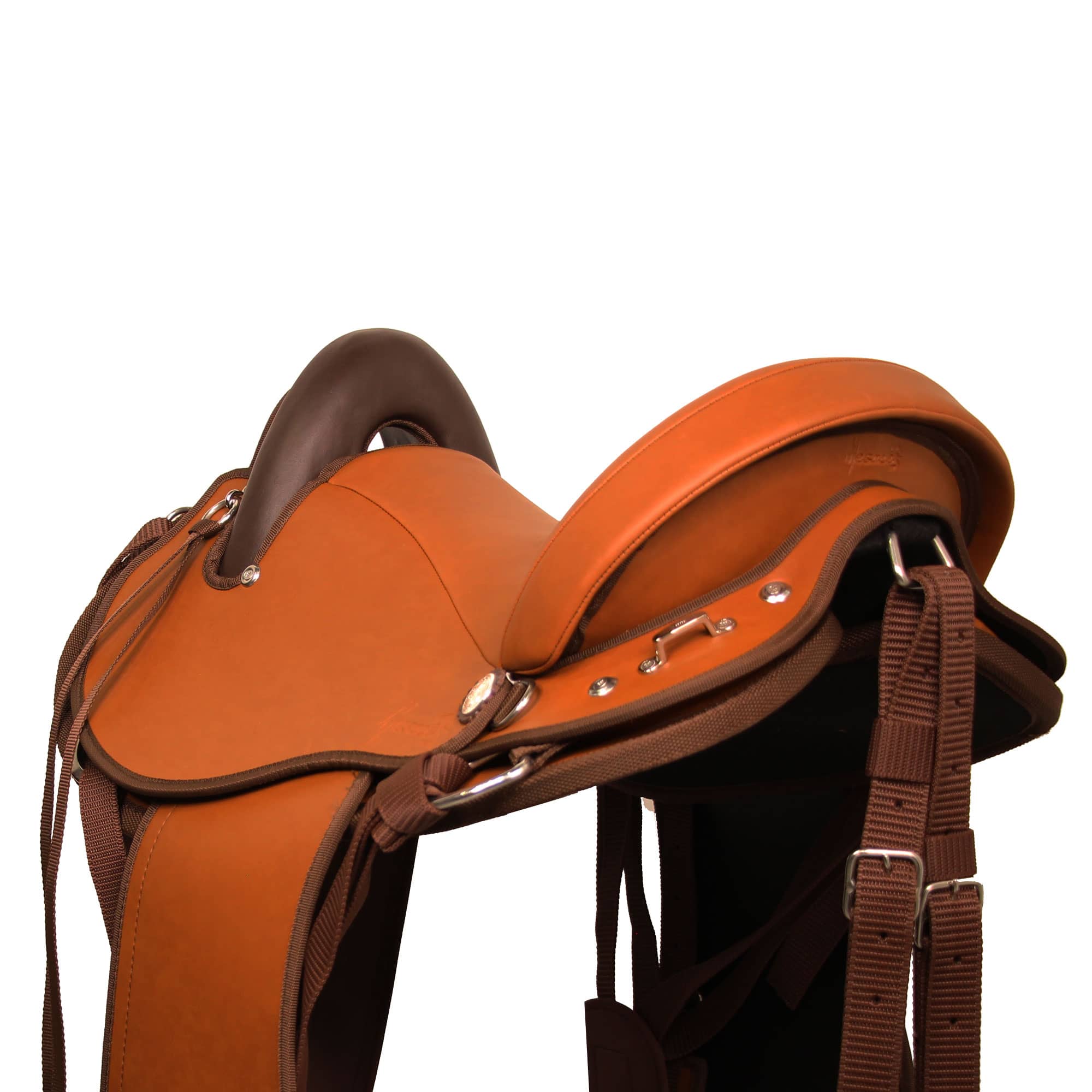 Tereque Apalache cabalgata MESACÉ Miel