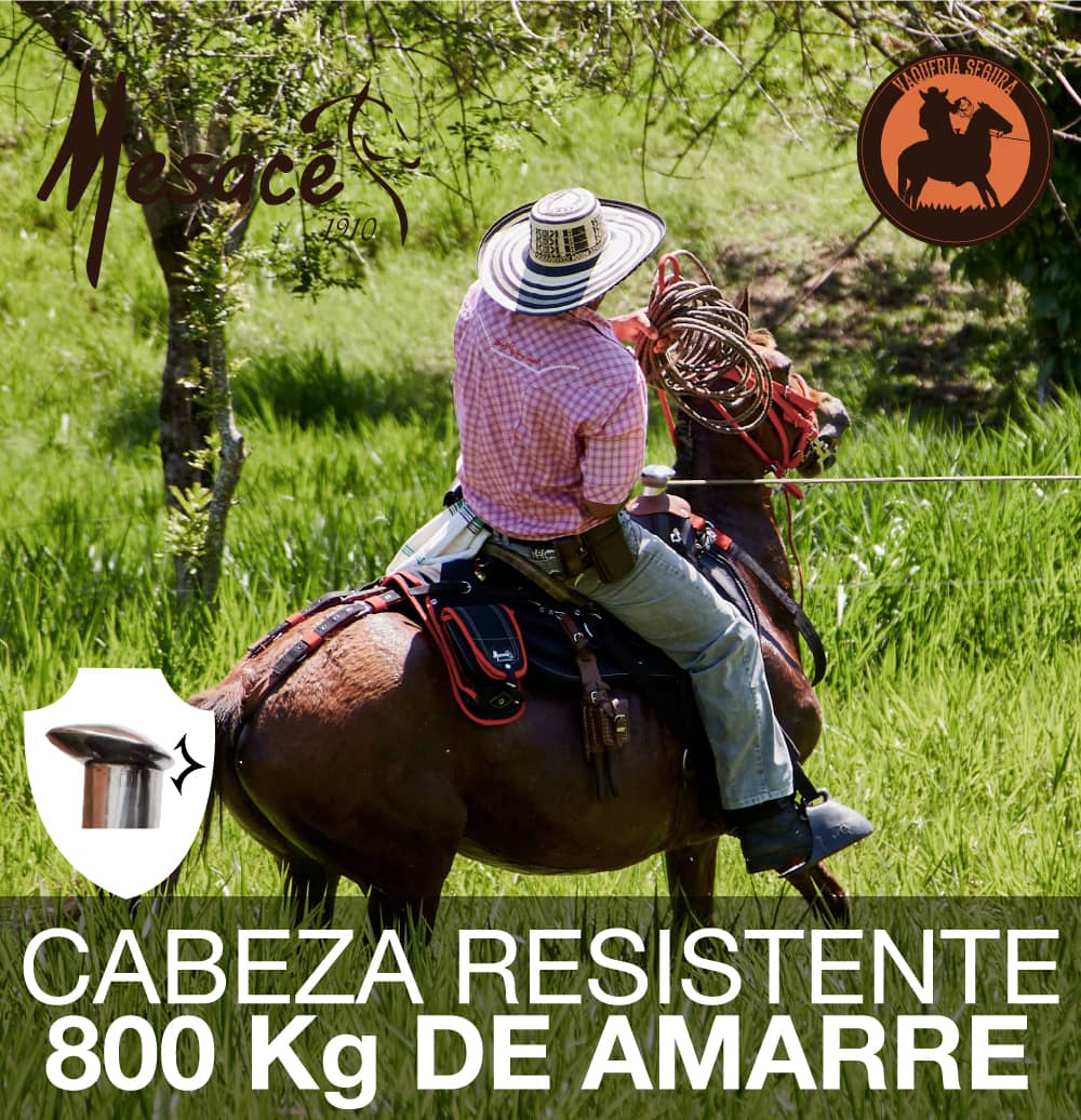 cabeza-resistente.jpg