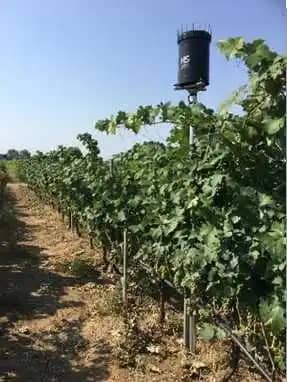 Estación Meteorológica ETo para Agricultura y Monitoreo Climático