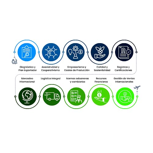 Etapas_Proceso_Agroexportador_Mejorado.png