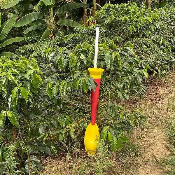 Baston Abonador grande