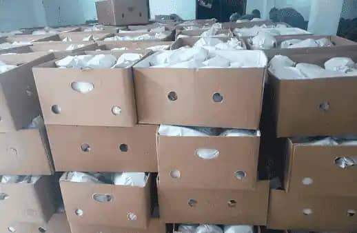 Venta de Ñame fresco de Calidad tipo exportación x kilogramo