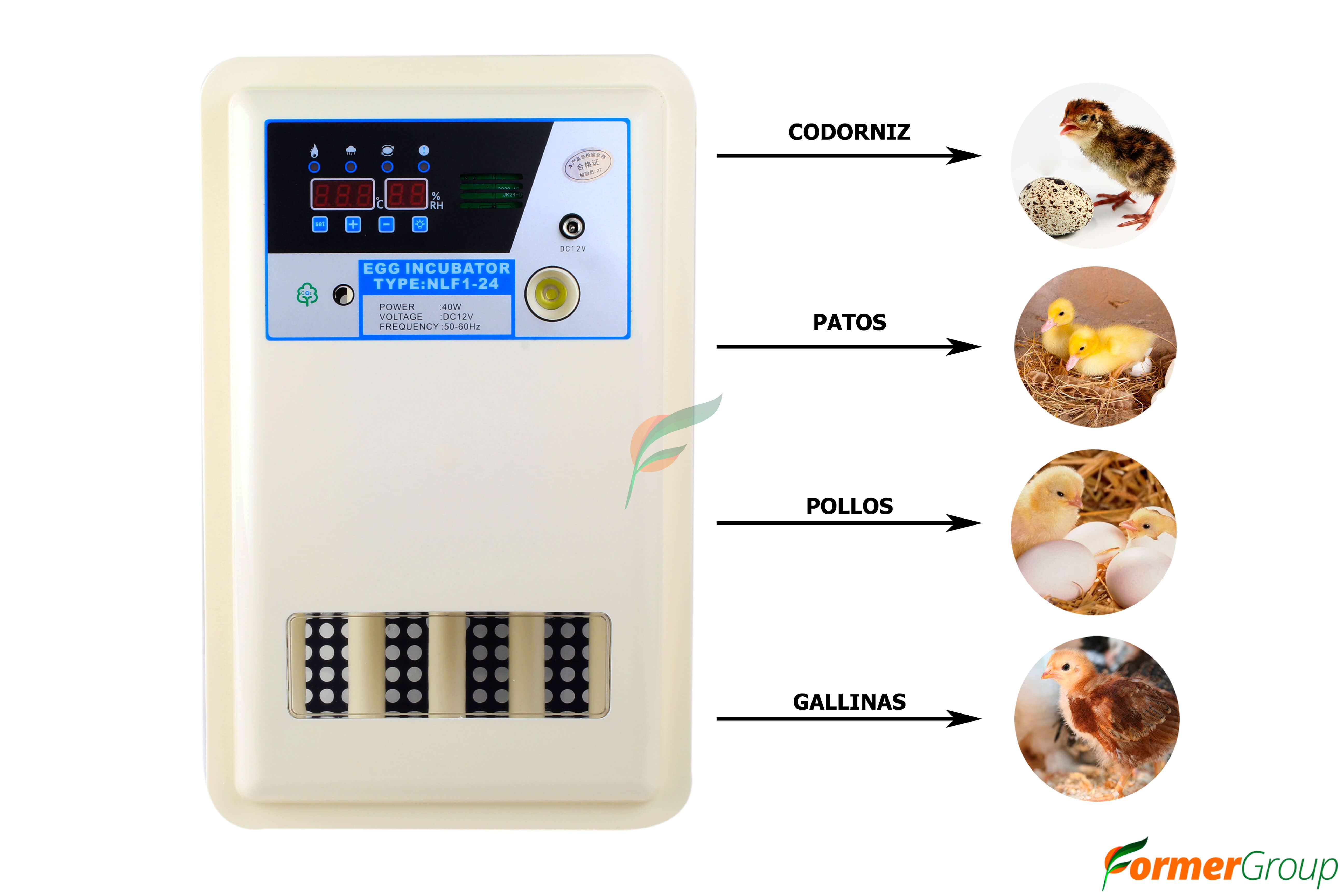 Incubadora automática 24 huevos: con volteo