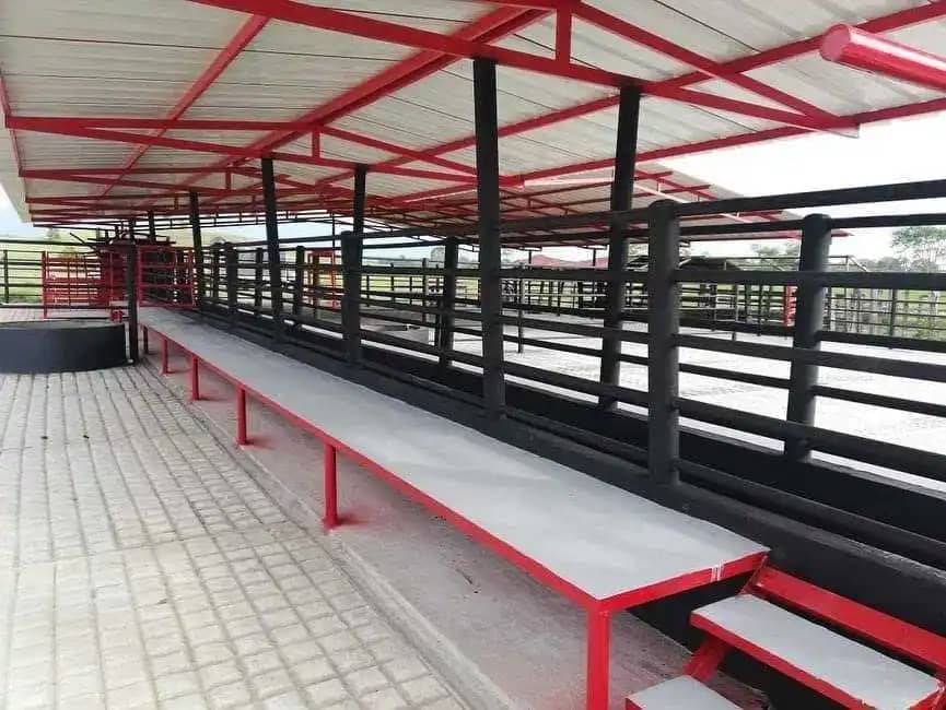 Corrales en Concreto para Ganado – Alta Durabilidad