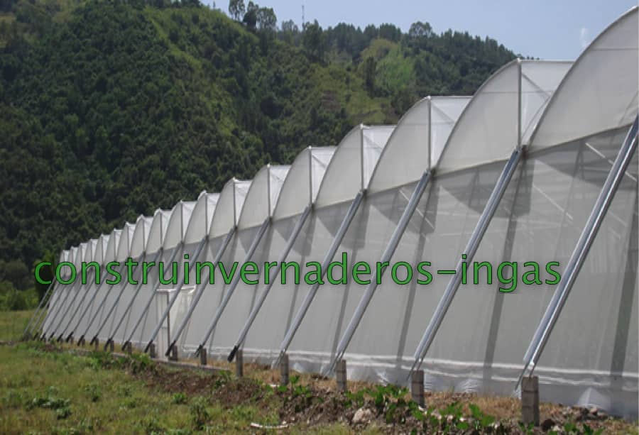 Lote 10 Pipas Dugout Cigarrillo Murciélago Dientes De Sierra + 1 Bateador - Tabaco Seco