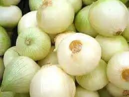 Venta de Cebolla Jonathan Ocampo X 1 Kg