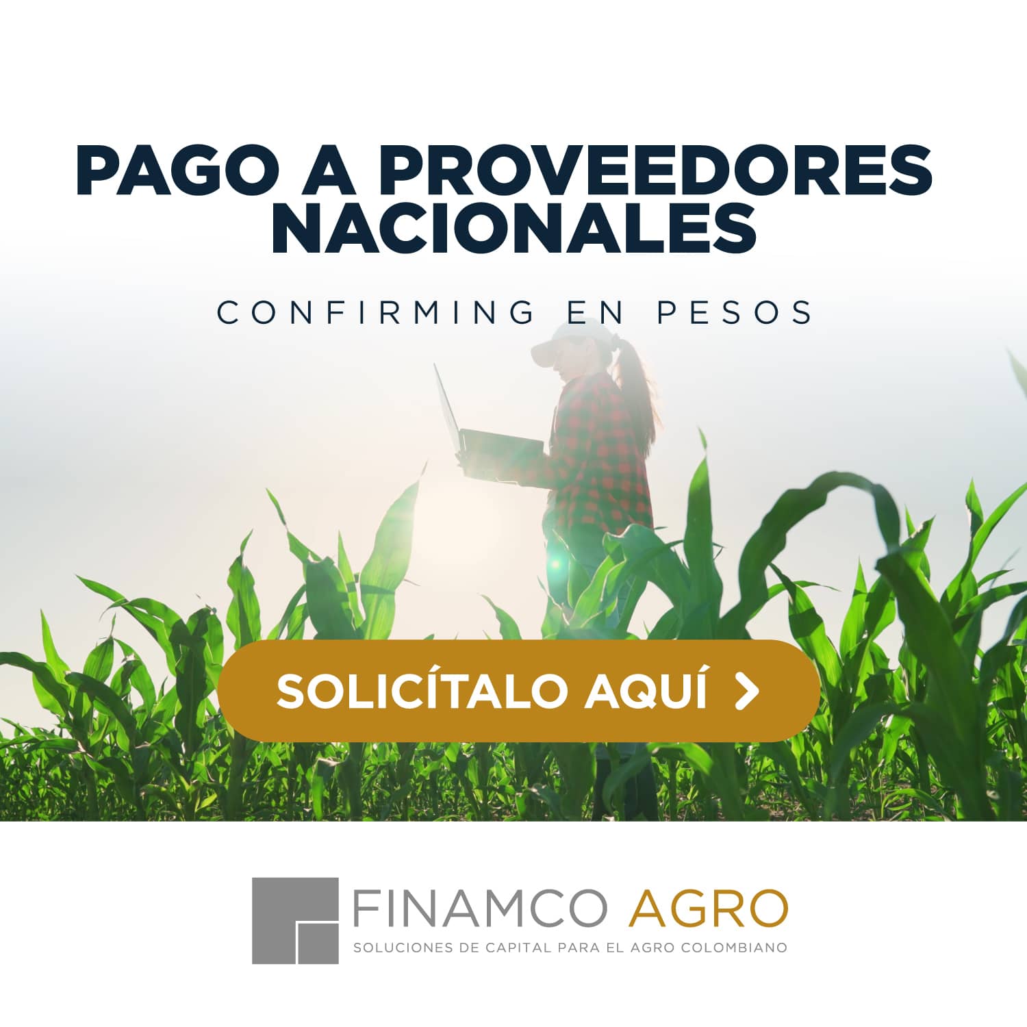 Pago a Proveedores Nacionales | Confirming en Pesos