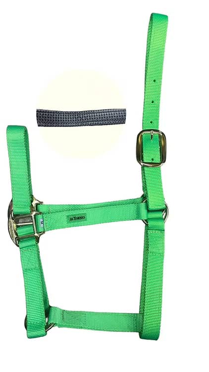 Jaquimón neopreno M para caballo | Cómodo y resistente