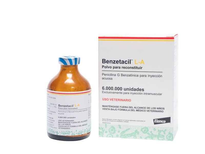 Benzetacil L.A. 6.000.000 UI | Antibiótico de larga acción