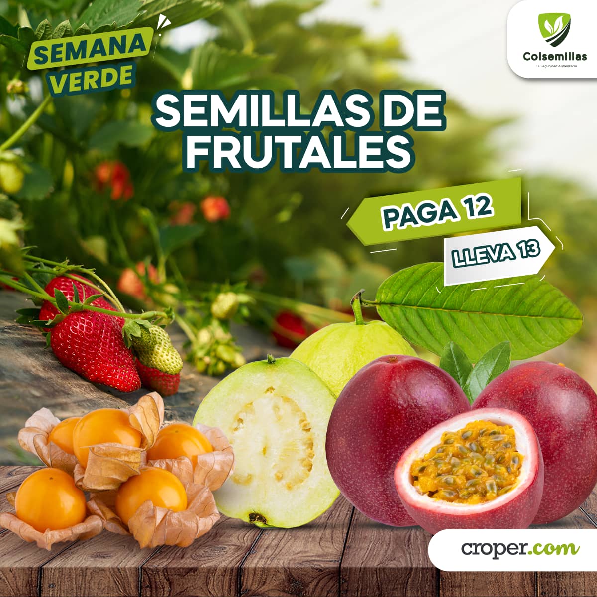 PROMOCI脫N Semillas de Frutales pague 12 Lleve 13