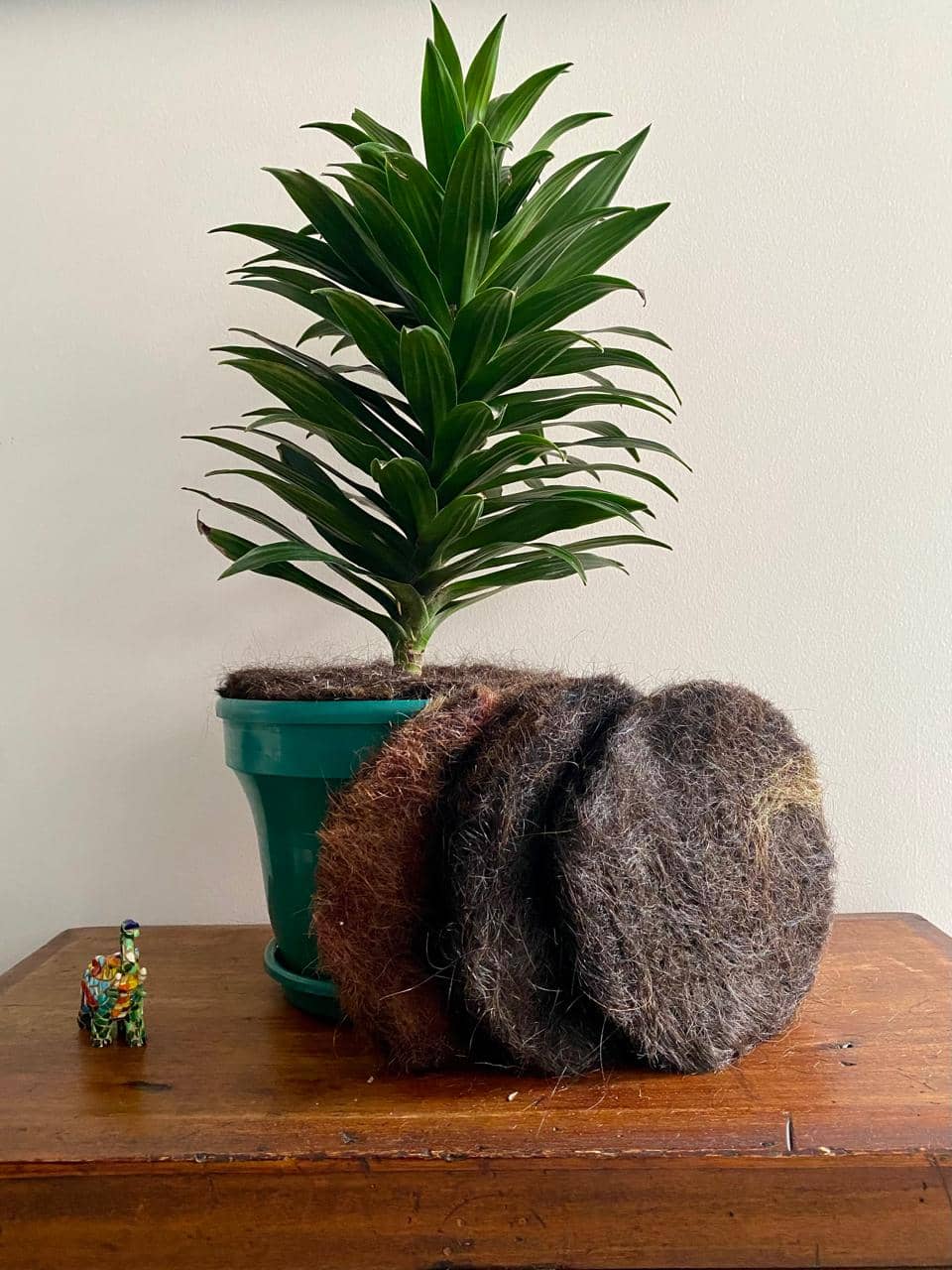 AgroPelo Disco para Materas 20cm