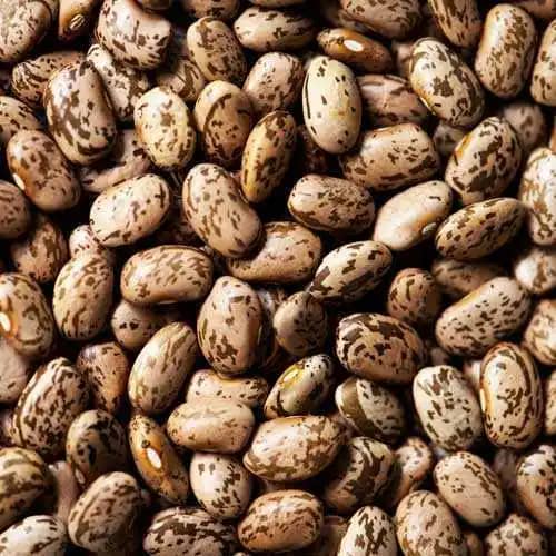 Frijol cargamanto X bulto de 70 Kg