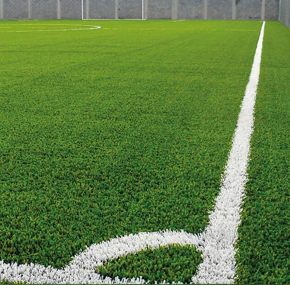 Semilla de grama decorativa mustang III x 454 gr