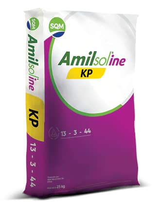 Fertilizante Amilsol KP | Nitrato Potásico con Yodo