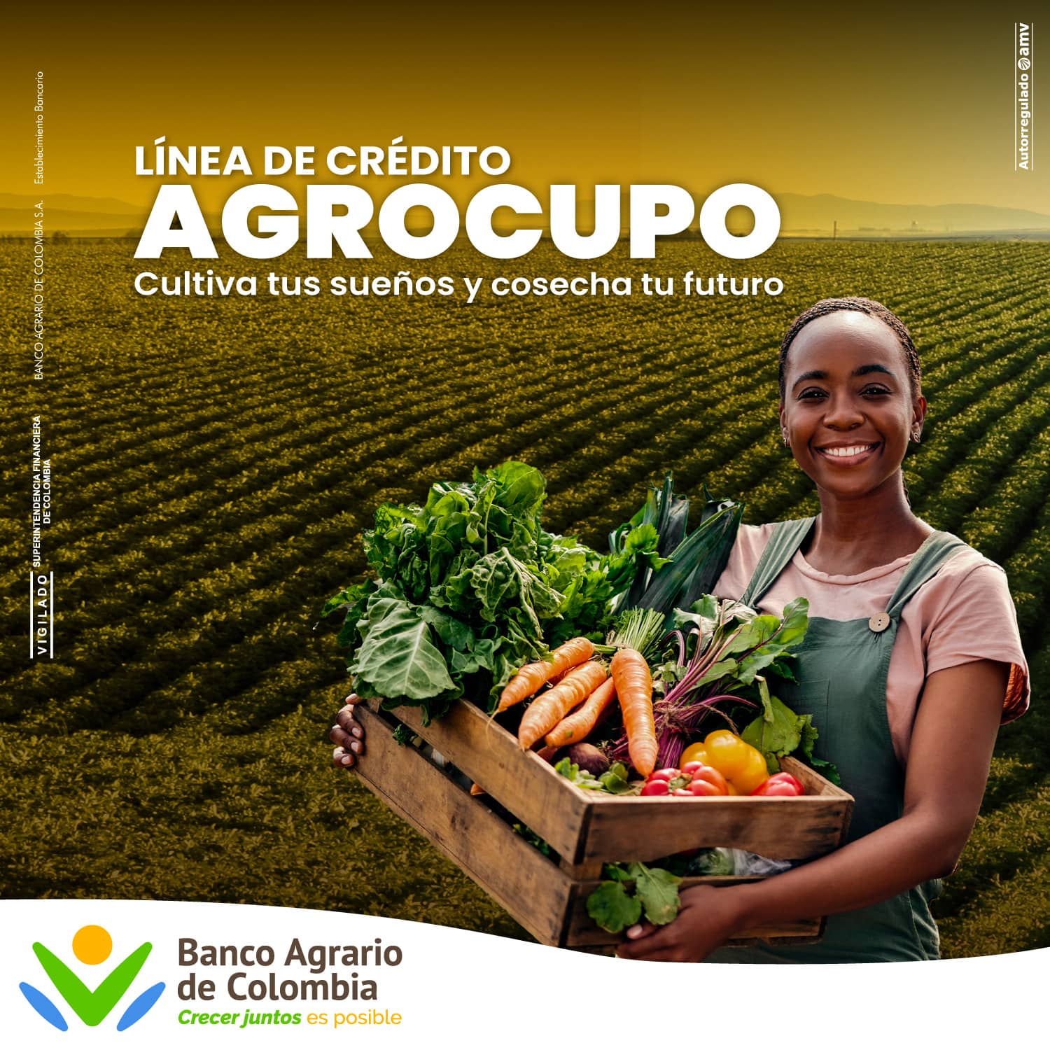 Crédito Agrocupo | Banco Agrario de Colombia