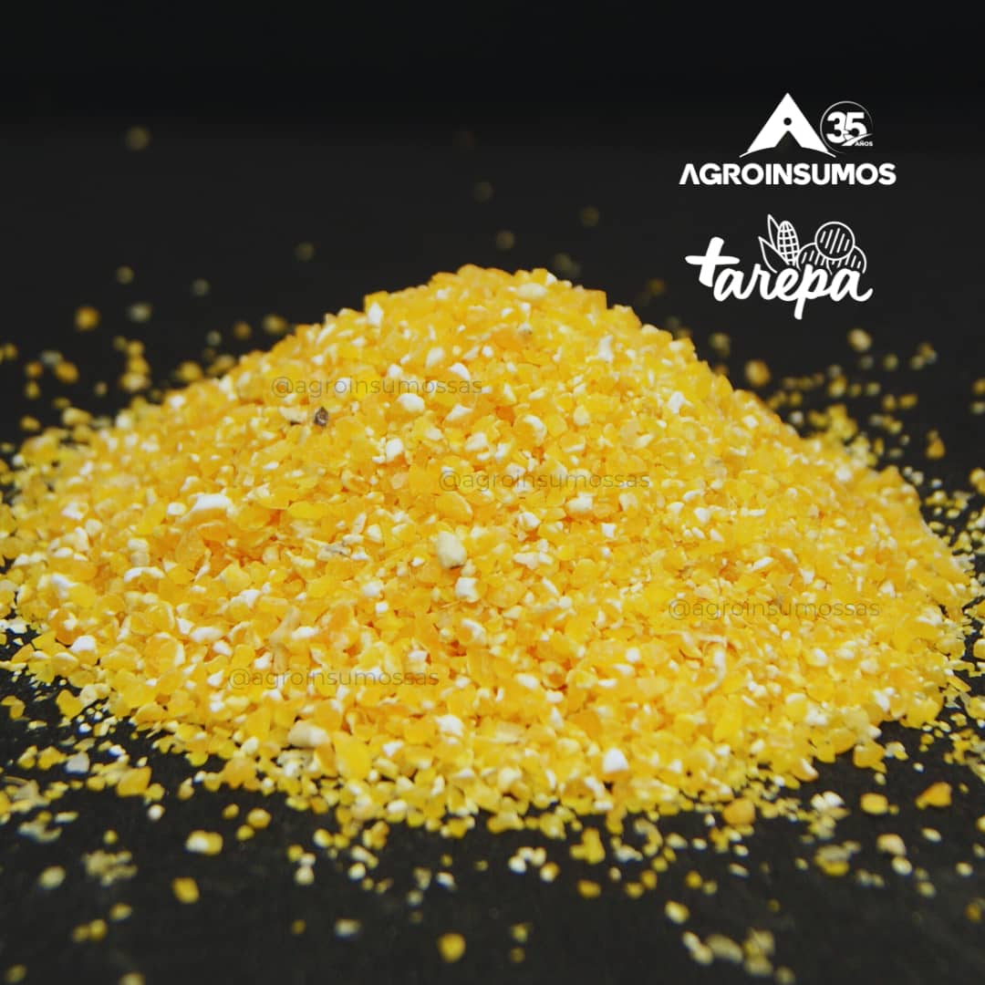 Cuchuco de Maíz – Consumo Animal, Alta Nutrición