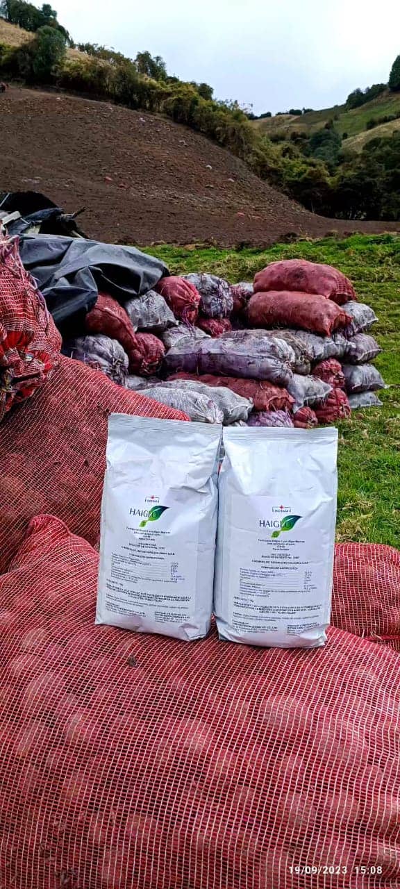 WhatsApp Image 2023-10-06 at 8.36.31 AM - copia.jpeg