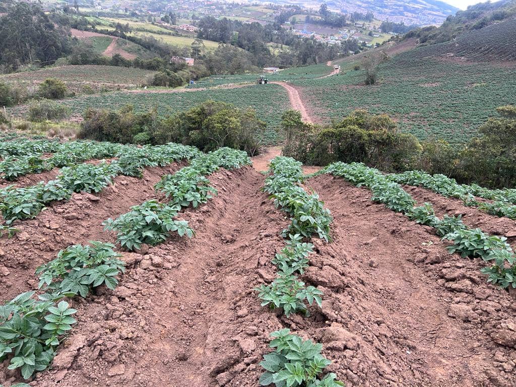 WhatsApp Image 2023-10-06 at 8.36.31 AM (2).jpeg