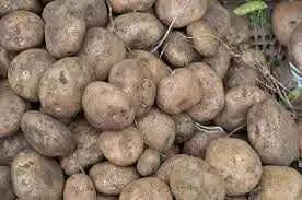 Papa Pastusa Edgar x 50 kg – Papa fresca de calidad premium