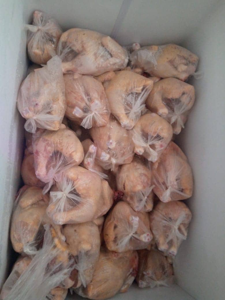 Pollo Asagricol x Lb