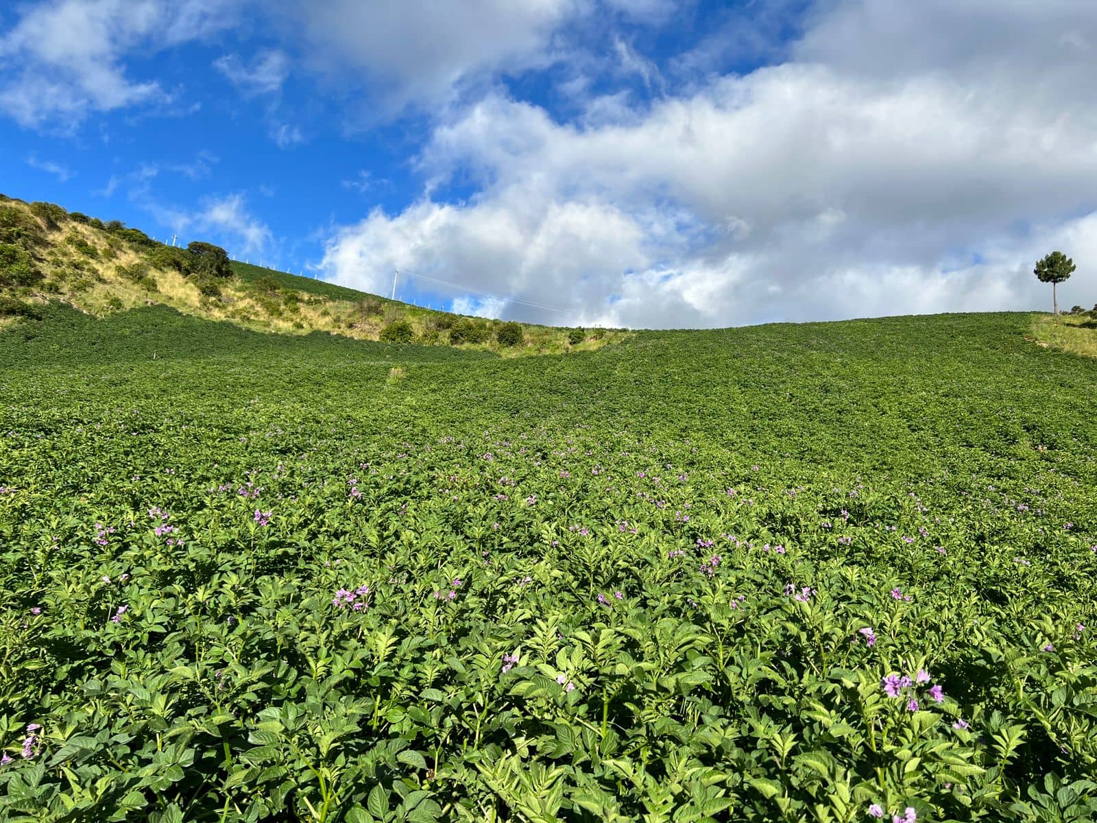 WhatsApp Image 2023-10-06 at 8.36.32 AM - copia.jpeg