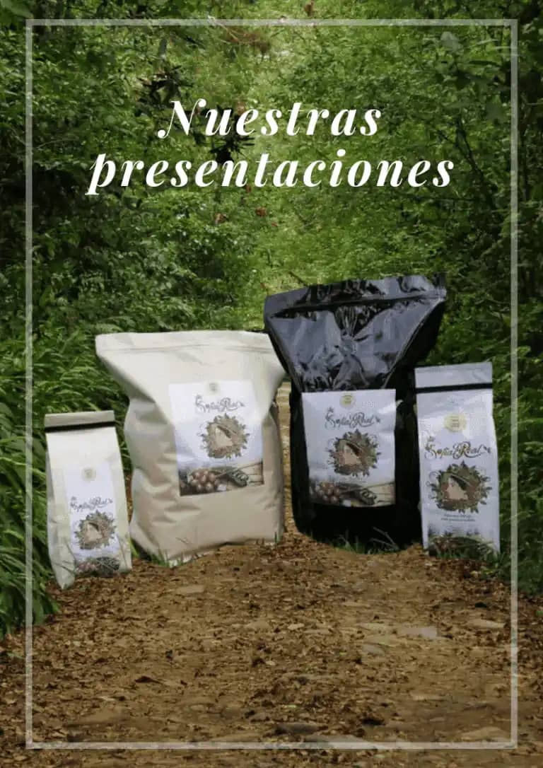 Venta de Café Sofía Real