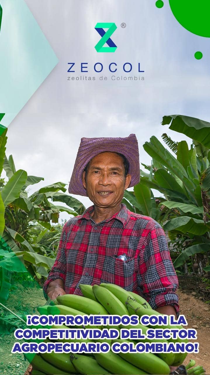 Zeocol Agrícola 50 kg - Mejora Suelos y Nutrición