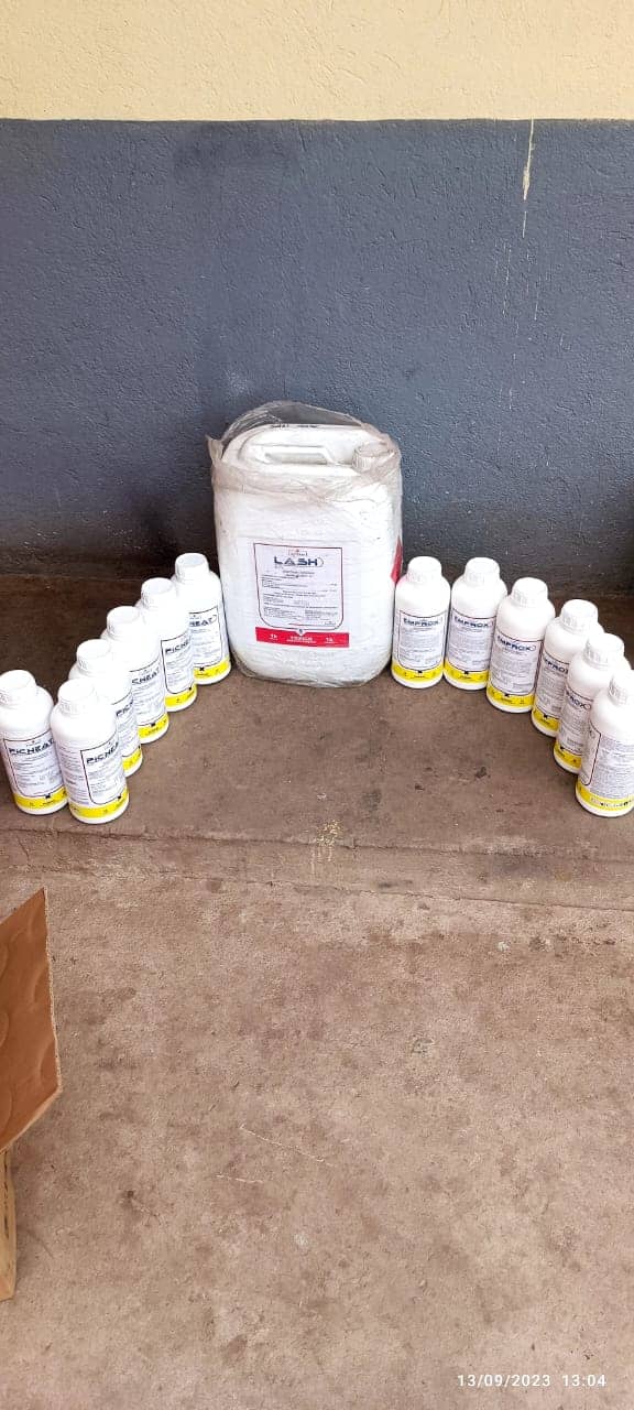 WhatsApp Image 2023-10-06 at 8.36.30 AM (2) - copia.jpeg