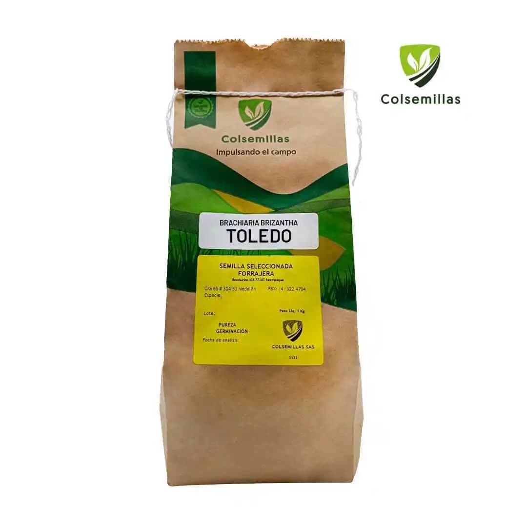 Pasto Brachiaria Brizantha Toledo Semilla Incrustada x 1kg