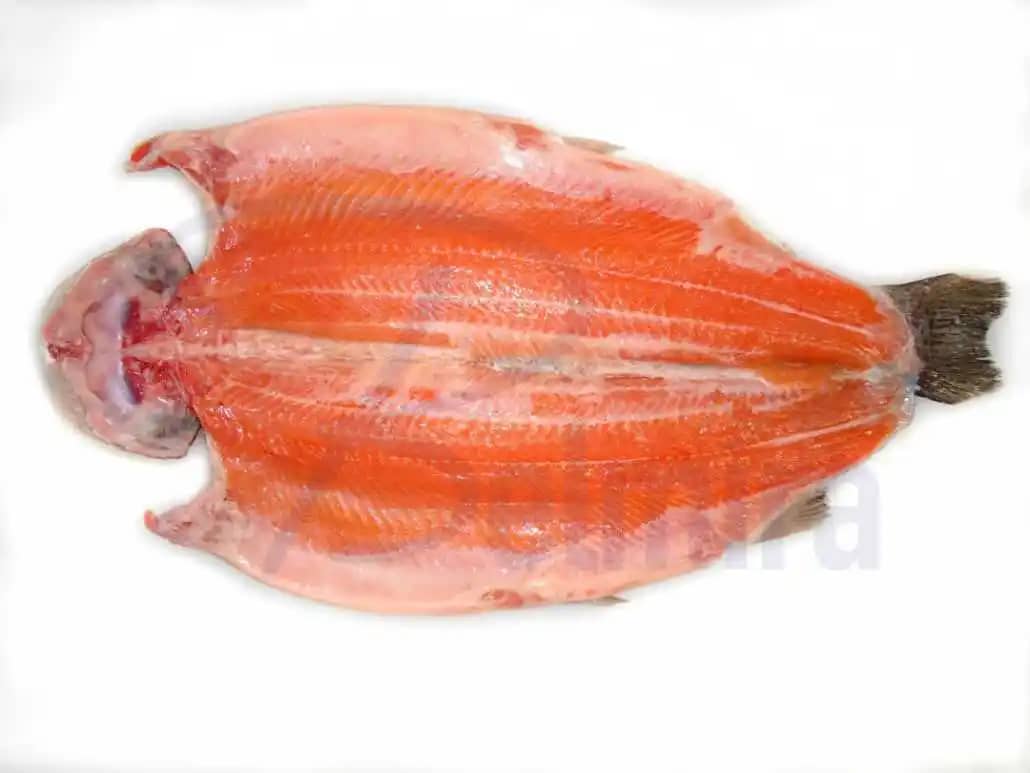 Trucha Arcoiris Empacada al Vacío - Juan Camilo Montagut