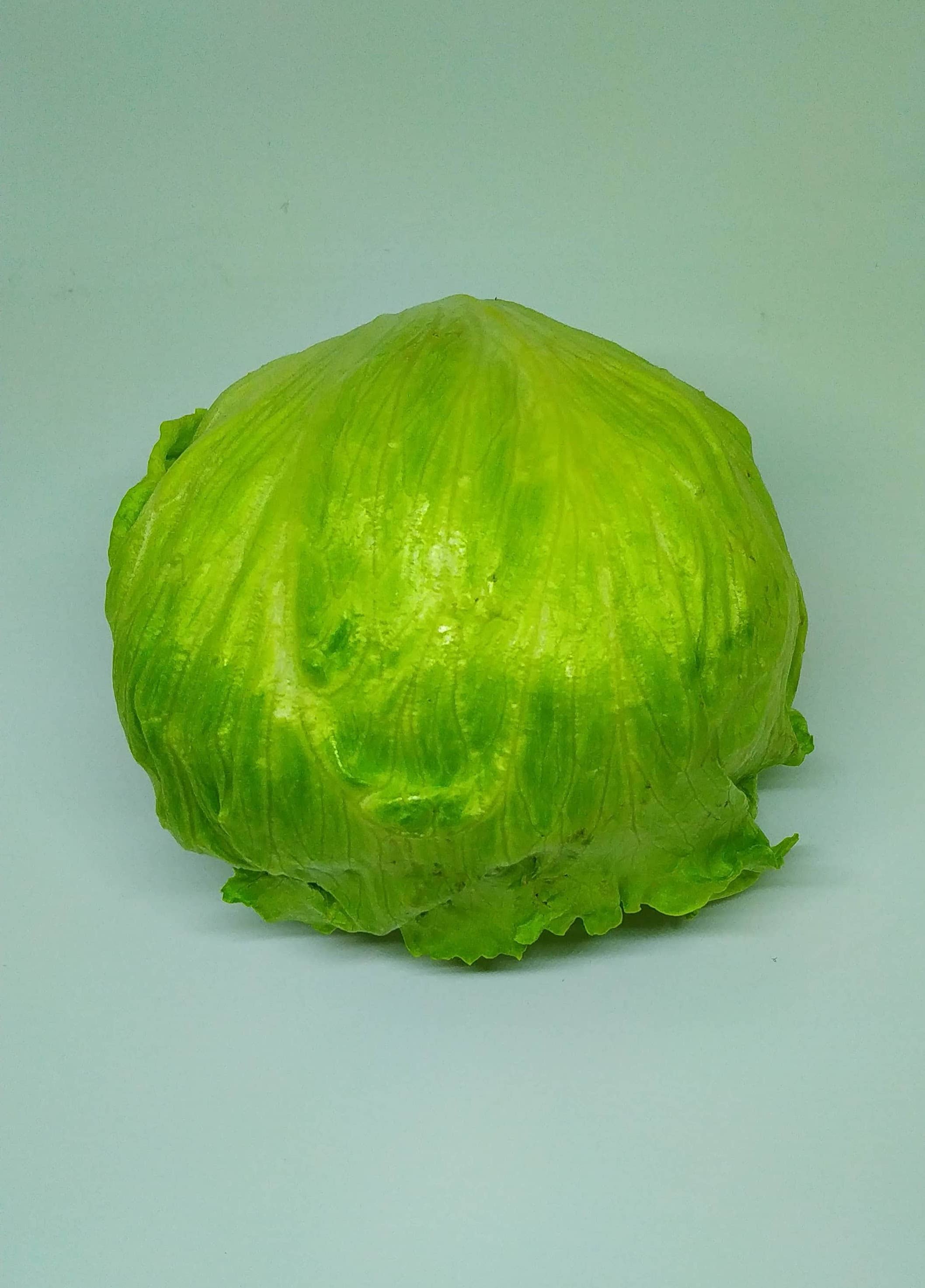 Lechuga Batavia Tipo Iceberg Colguard | Fresca, Crujiente y de Alta Calidad