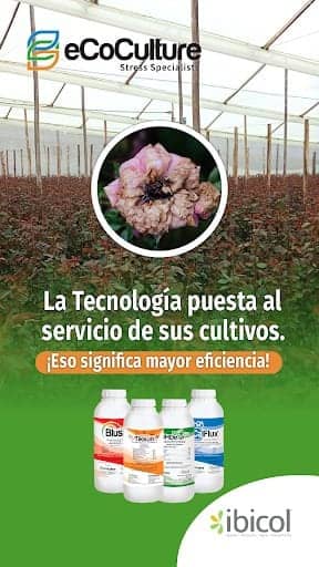 Fertilizante para manejo de estrés en plantas Tikkun x 1 lt