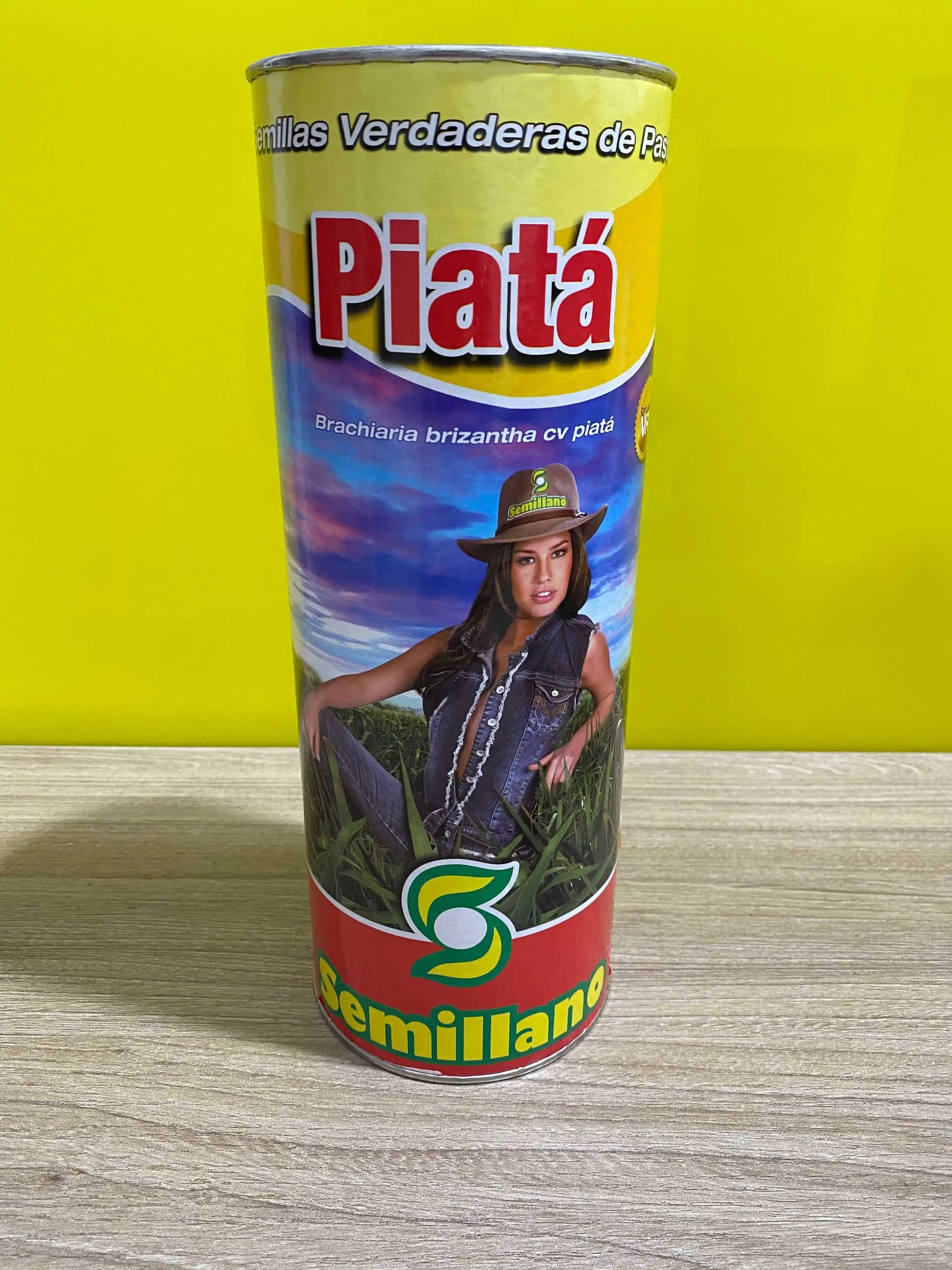 Brachiaria brizantha cv. piata Pasturas