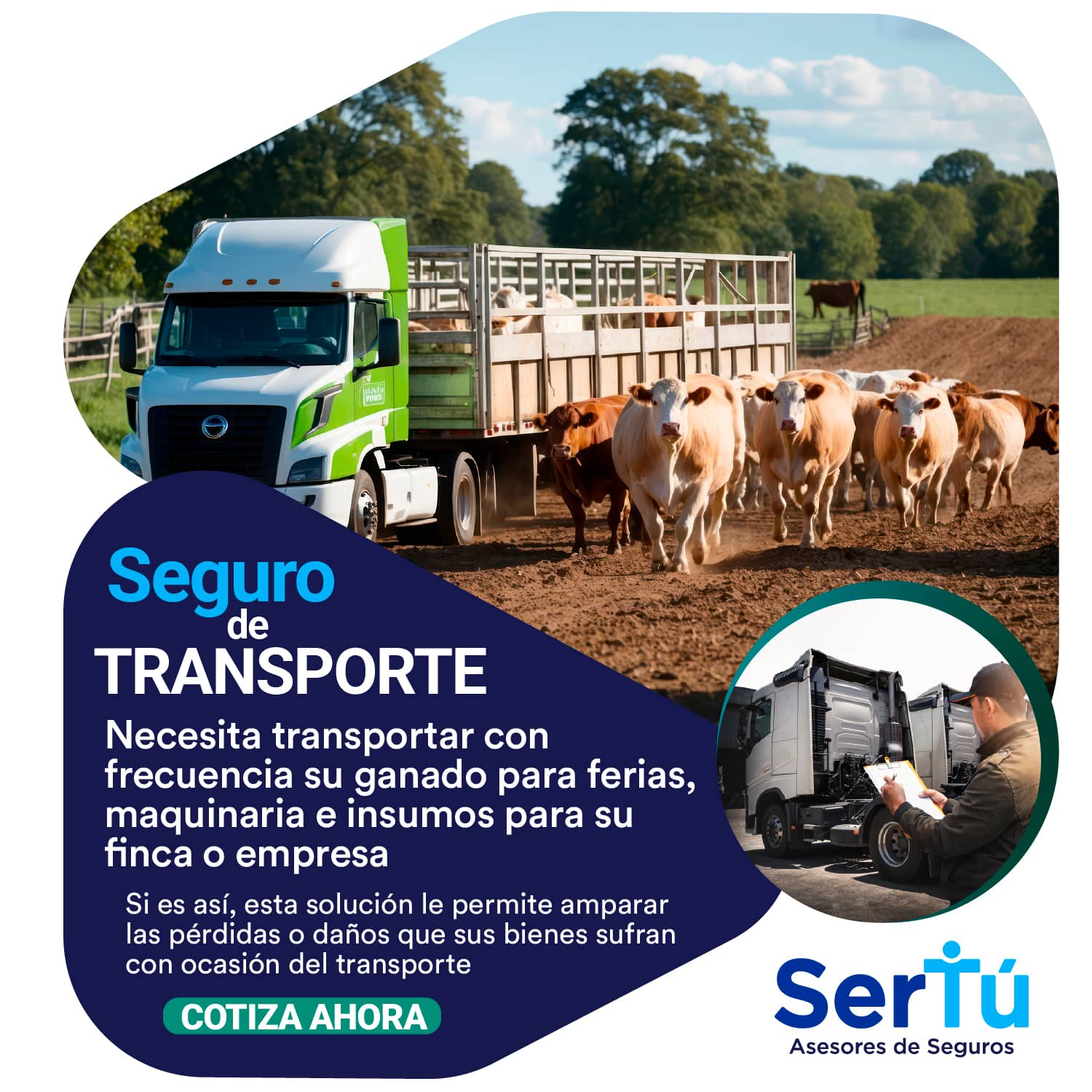 Seguro de Transporte