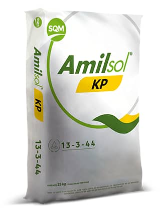 Fertilizante Amilsol KP 25Kg | N y K Solubles