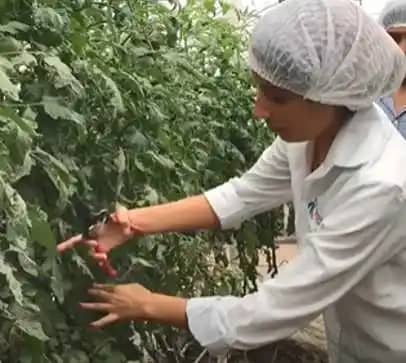 Kit de Muestreo para NO3 - Sensores para Agricultura y Riego