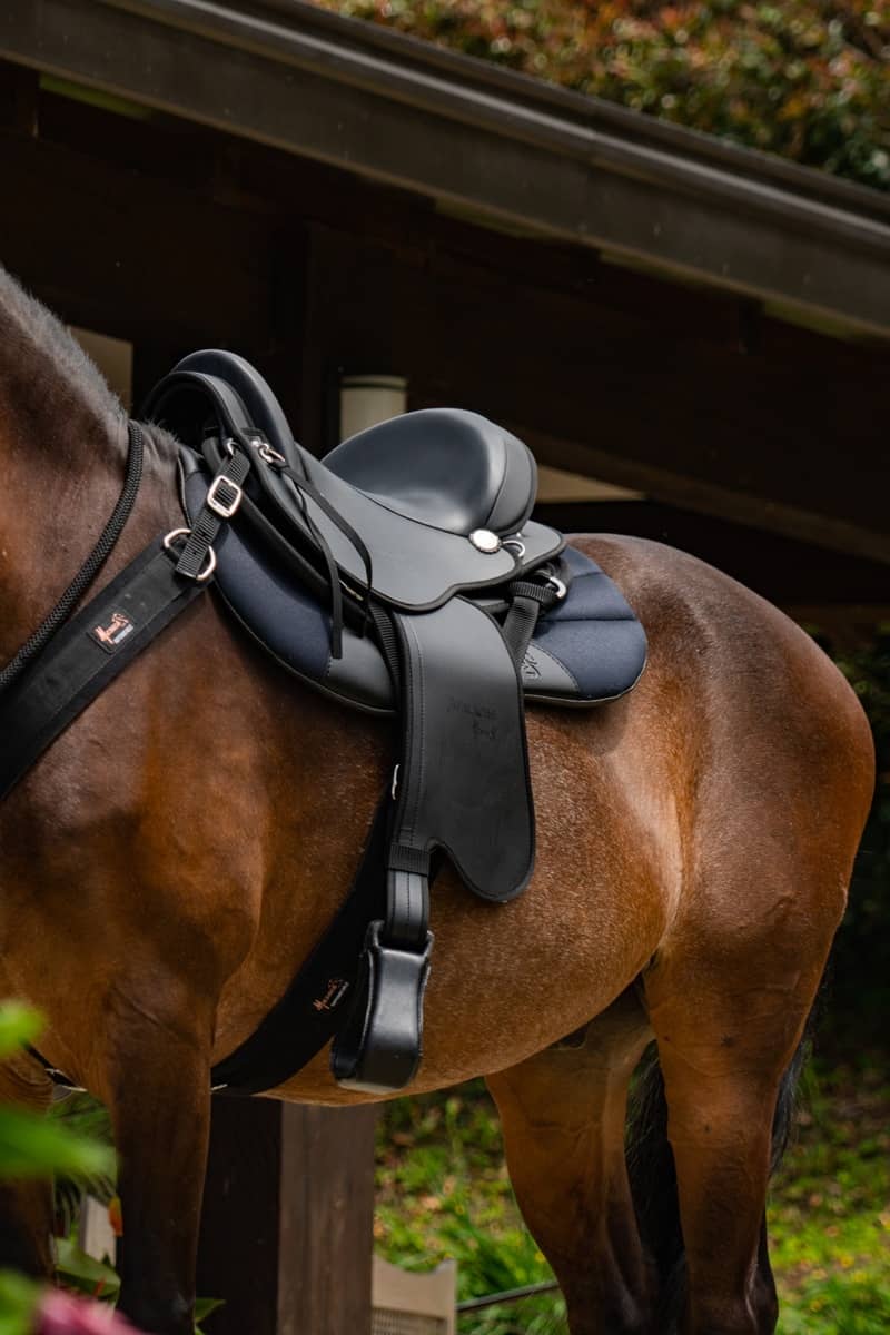 Tereque Apalache cabalgata MESACÉ Miel