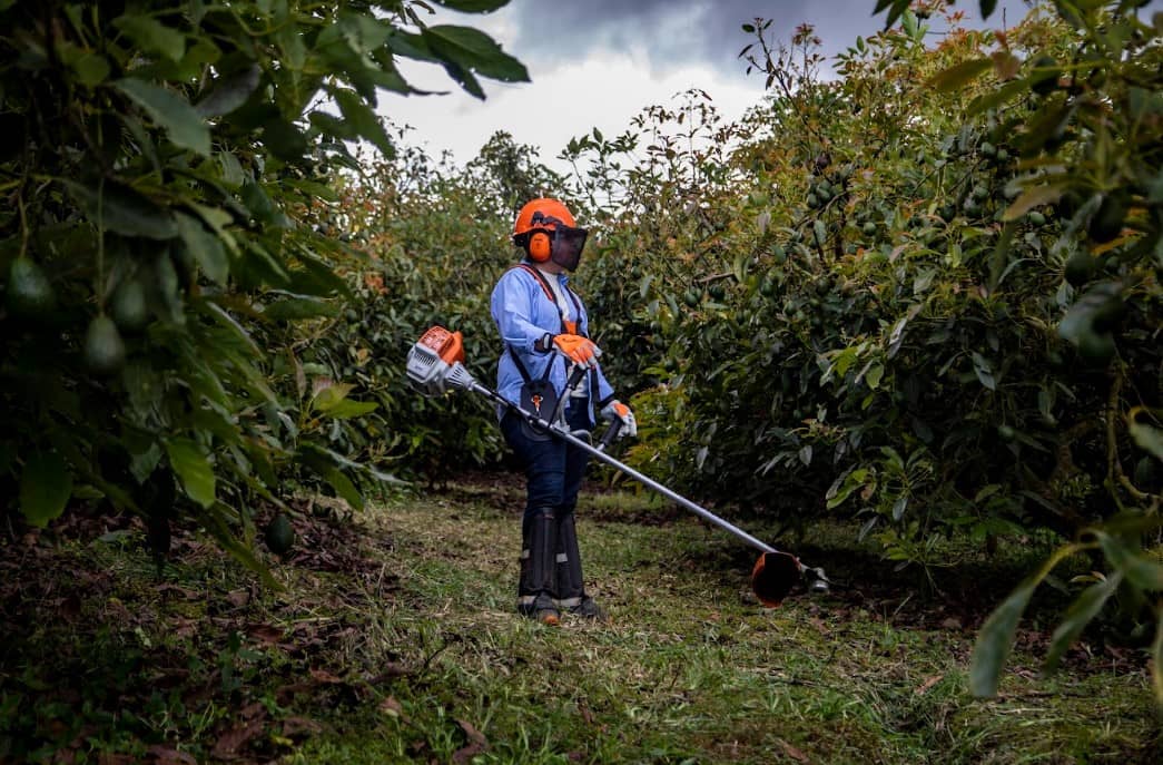 Guadaña STIHL FS 235 R | Potente, Ergonómica y Duradera