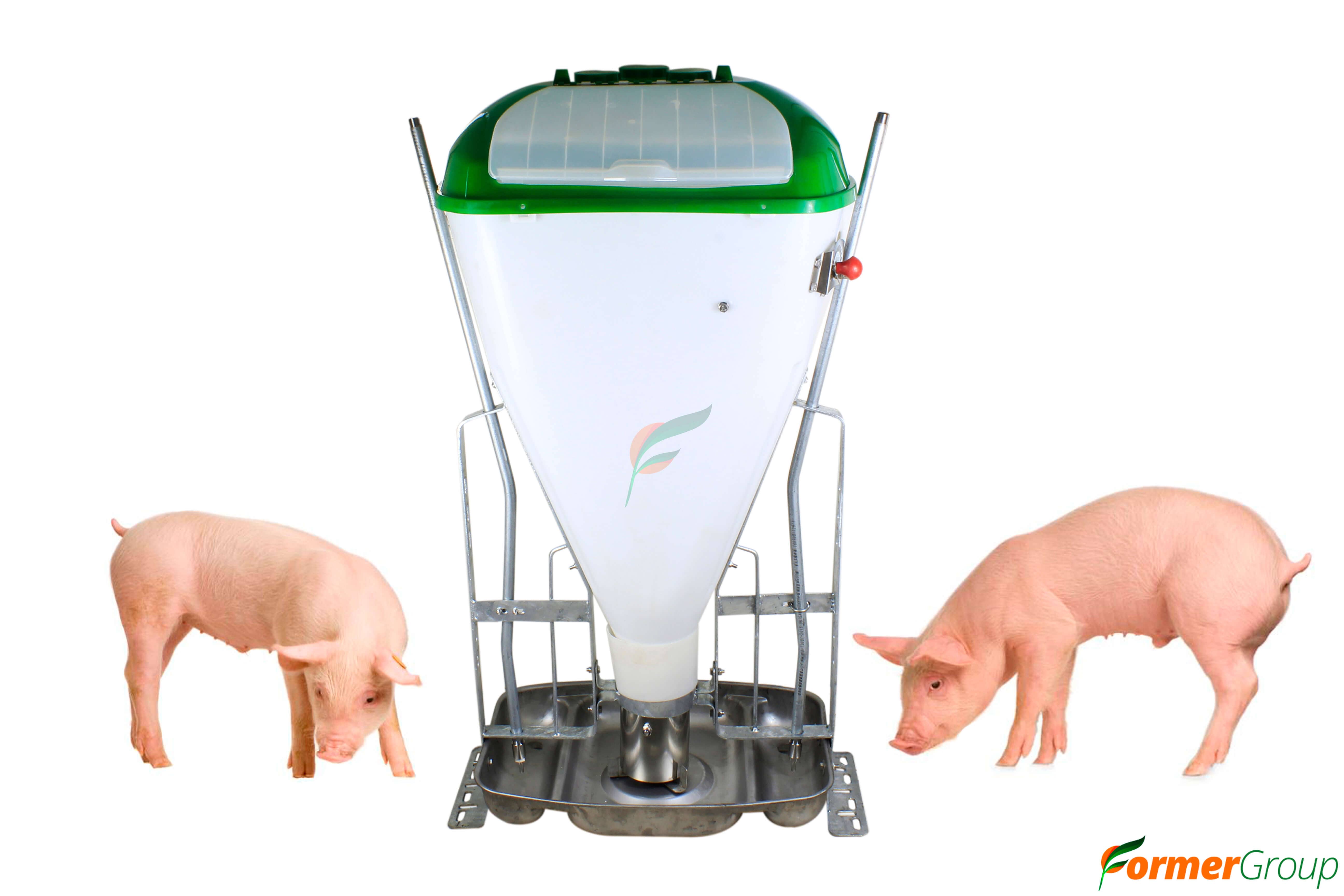 Comedero cerdos automático: alimentación eficiente